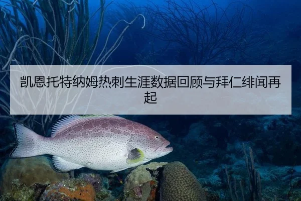 凯恩托特纳姆热刺生涯数据回顾与拜仁绯闻再起