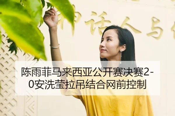 chen-yu-fei-ma-lai-xi-ya-gong-kai-sai-jue-sai-an-xi-ying-la-diao-jie-he-wang-qian-kong-zhi-2-999.jpg